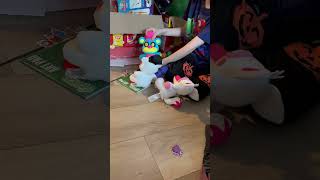 IMG 3714