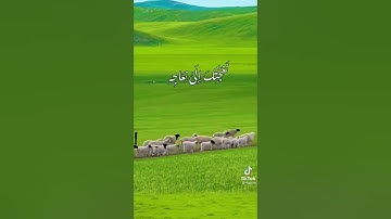 ما تيسر من سورة ص