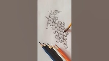 How To Draw Grapes with Pencil Shading | Realistic Fruit Drawing Tutorials | Graphite Techniques