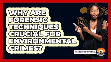 Why Are Forensic Techniques Crucial For Environmental Crimes? - The Documentary Reel