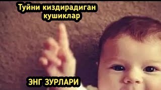 To'ybob qo'shiqlar  🎵 Акбарали Турсунов кушиклар туплами  🎵🎵  Akbarali Tursunov