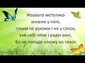 Фотограф Фотограф