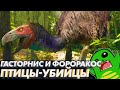 ПТИЦЫ-УБИЙЦЫ | Фороракос | Гасторнис | Келенкен | OVERRATED