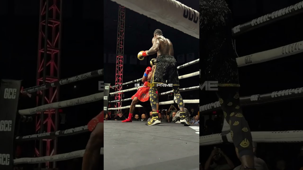  WilderHerndon Deontay Wilder Still Got It