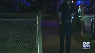 Springfield Shooting