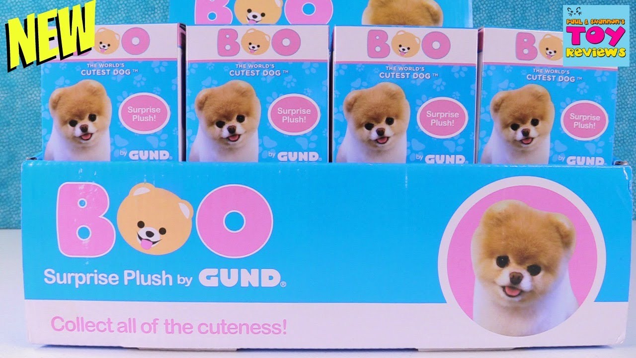 Gund Boo The Cutest Dog In The World 7 inch 'Itty Bitty Boo