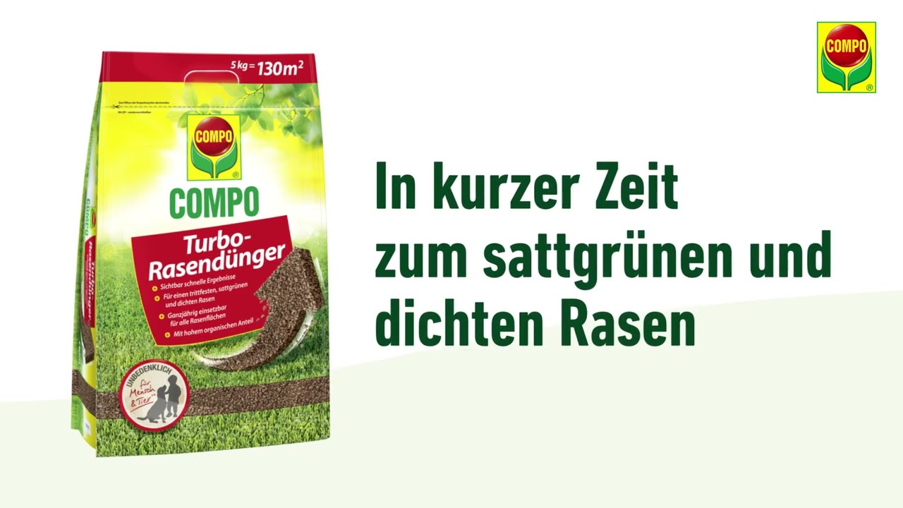 brokkolisamen zentrum der gesundheit Bio-Brokkolisamen