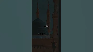 اخلاقه غزت القلوب نصر الدین طوبار النقشبندي 