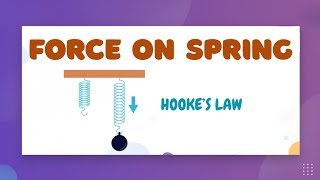 Force Acting On Spring S Law Learnstalk Physics