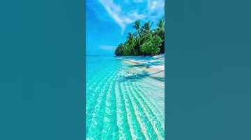 وانذرهم يوم الحسرة(سورة مريم) القارئ عبد الرحمن مسعد💗