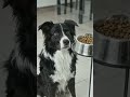 he patiently waited
