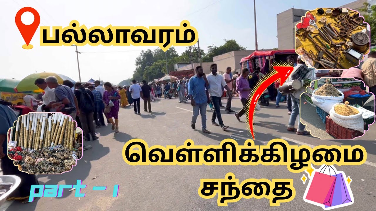 பல்லாவரம் Friday Market 2025 🔥 | Birds 🐦 Plants 🌱 Used Items 🛒 | Full Updated Tamil Vlog (Part 1)