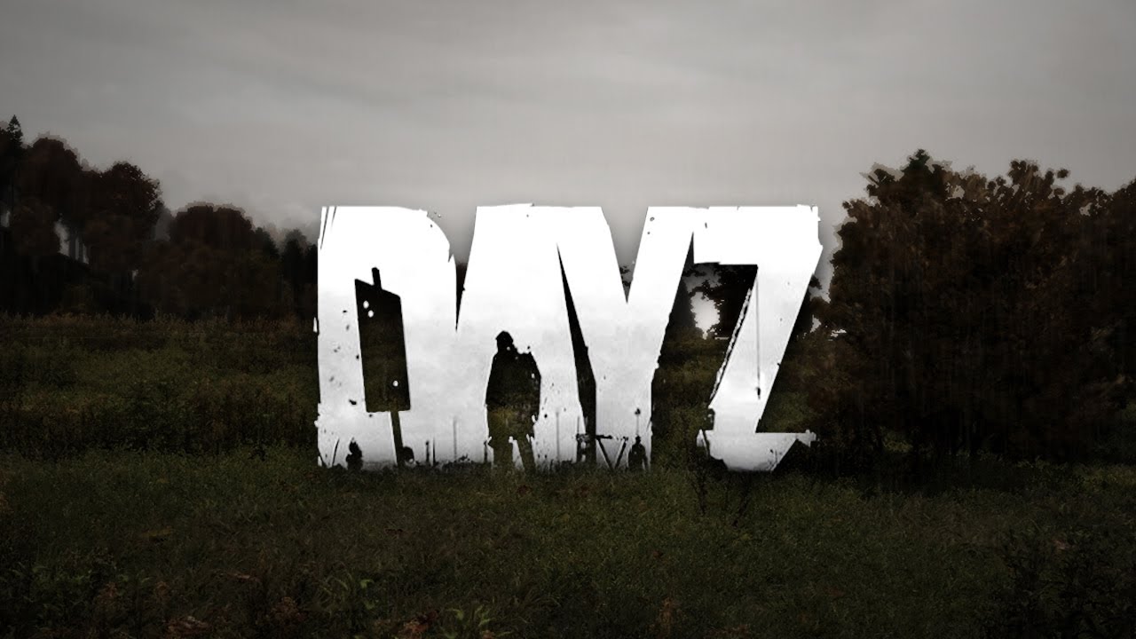 Dayz gun