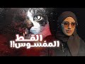 قصصكم بعد ما تم حبسها في الغرفة قطتنا أصبحت خطيرة