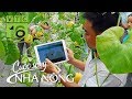 Báo Đồng Nai: Nông dân Đồng Nai làm 'nông nghiệp thông minh'