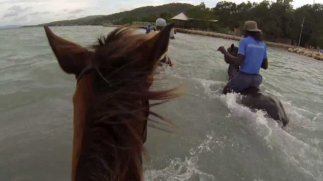 Horseback Ride and Swim Montego Bay, Jamaica YouTube