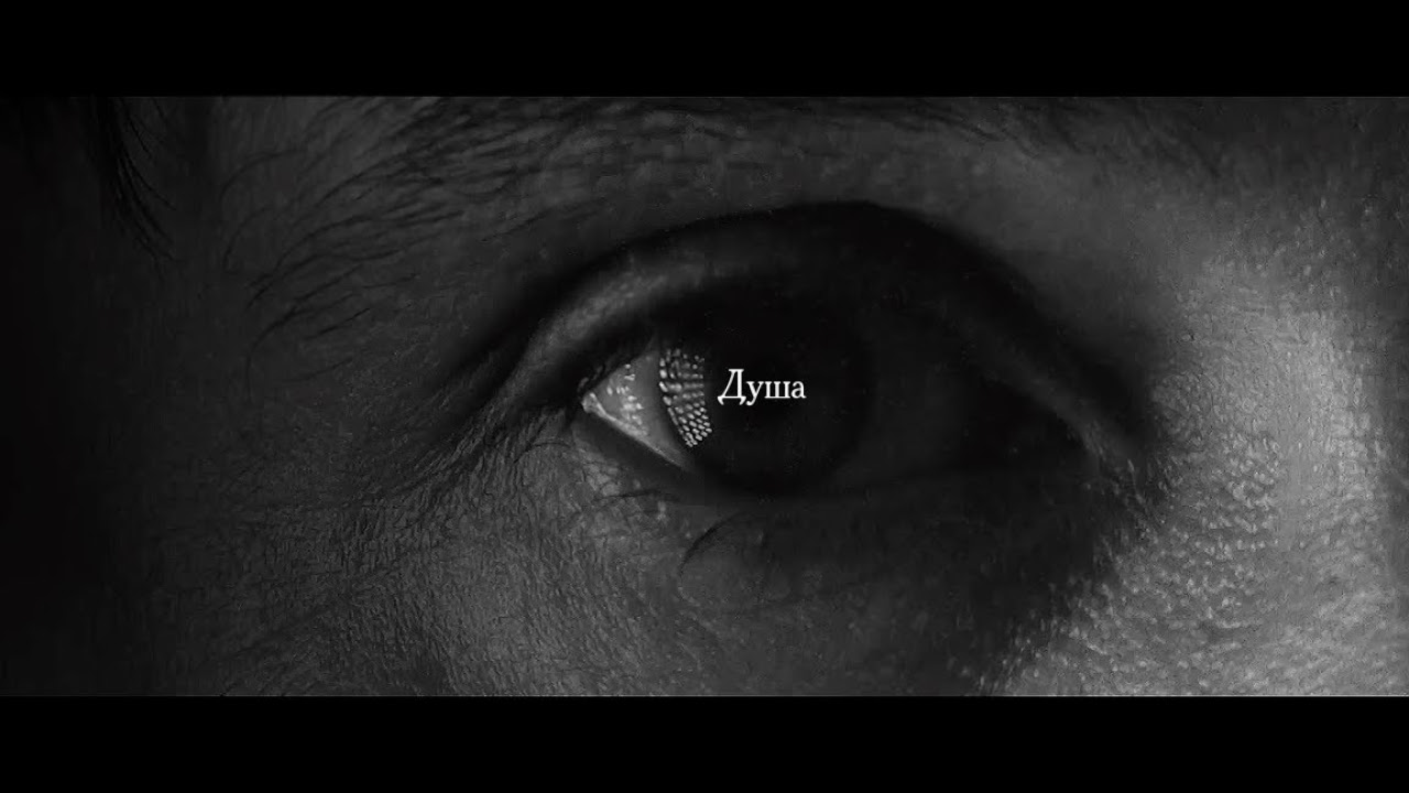 Дельфин - Душа