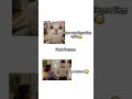 Kichu copylink kore deu plz"!!😅❤️‍🩹 #btsarmygirl #unfrezzmyaccount