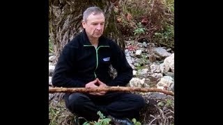 Императорский цигун. Упражнение для позвоночника. Императорский цигун. Упражнение для позвоночника.