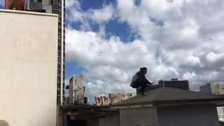 Hawaii 5-0 Stunts Parkour Jump
