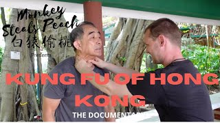 Hang Ngs Combat System p1 - Kung Fu of Hong Kong ep8 @EvosBasics ​⁠@kungfuronin