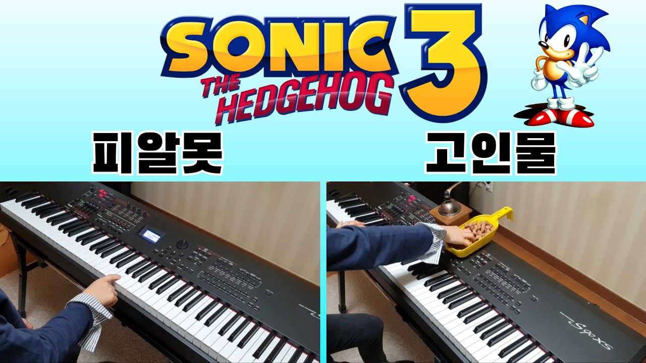 소닉3 브금 5단계 연주 (피알못 ~ 고인물) 5 Levels of Sonic BGM