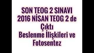 2016 Teog 2 De Çıktı Beslenme İlişkileri Ve Bitkilerin Gelişimi