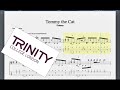 Tommy the cat trinity grade 8 bass