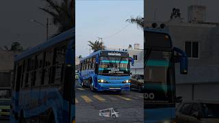 Urbanos Costeros Marcopolo Torino 🤩💯 #urbano #marcopolo #excelente #new #parati #videoviral