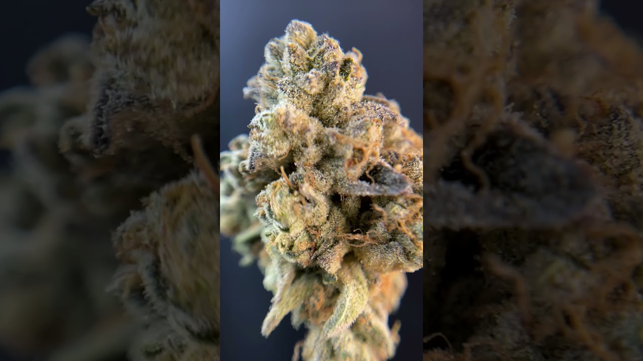 Wedding Cake by BLLRDR