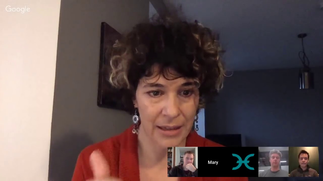 Holochain, Holo, Hot & HoloFuel Reserve pools for holoport AMA