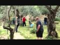 The Garden of Gethsemane, Jerusalem, Israel