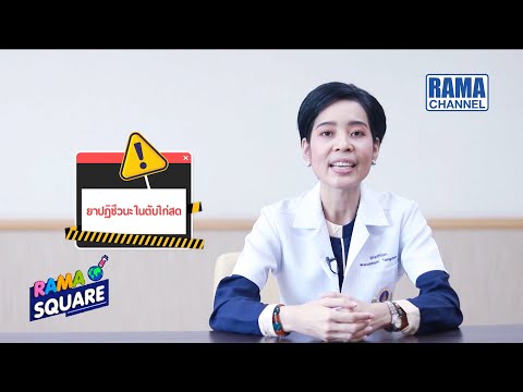 RAMA Square - ยาปฏิชีวนะในตับไก่สด 23/09/63 l RAMA CHANNEL