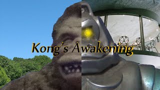 Kong's Awakening