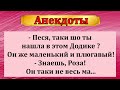 Сборник смешных анекдотов!  Юмор  Шутки  Хорошее настроение  Позитив!