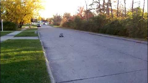 Emaxx 16.8 vs. Rustler XL-5