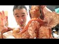 살아있는 문어 조리법, 문어숙회 먹방how to fillet octopus + eating show