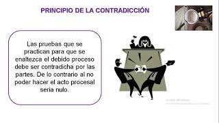 LOS PRINCIPIOS DEL DERECHO PROBATORIO