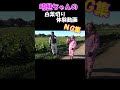 【白菜】鍋物の美味しい季節 民謡界のアイドル・谷島明世NG集 #shorts