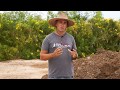 Garden site preparation | Ranch Tips