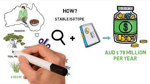 Stable isotopes infer the value of Australia’s coastal vegetated ecosystems from fisheries