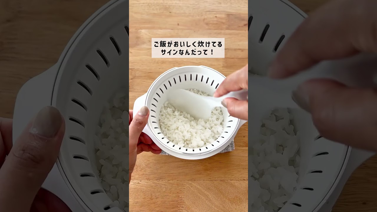 【新品売れ筋！】マイクロ波対策！電子レンジ専用Mサイズ。ご飯が美味い!2合OK！ ヒロ・コーポレーション 電子レンジ調理器 魚 焼き魚 レンジで焼き魚