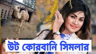 উঠ কোরবানি দেন চিত্রনায়িকা সিমলা