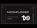 Timeout - Moonflower [Latin Pop | Sexy Reggaeton | Duet]