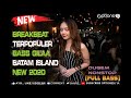 DJ BREAKBEAT TERBARU 2020 PARTY NONSTOP 2 JAM BASSNYA LEVEL GILA REMIX MANTAP