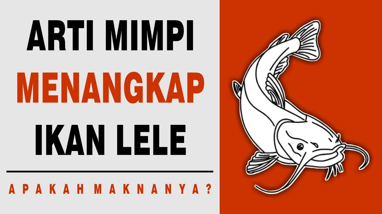 Arti Mimpi Menangkap Ikan Lele