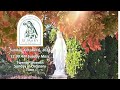 The Twenty-Seventh Sunday in Ordinary Time | 11AM Mass | October 6, 2024
