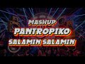 Dj Mashup PANTROPIKO x SALAMIN SALAMIN (DJ ROTBART REMIX) | VIRAL 2024