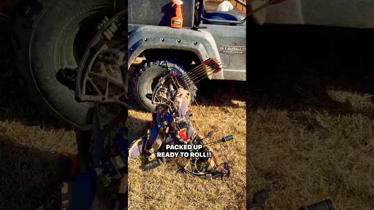 DAY 8 HUNTING — NO DEER, JUST REALITY 