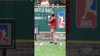 Did No One Notice This? dingersornothing wiffleball baseball shorts